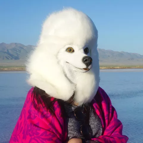 White Poodle Dog Mask