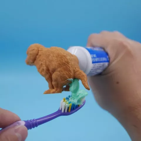 Puppy Poos Toothpaste