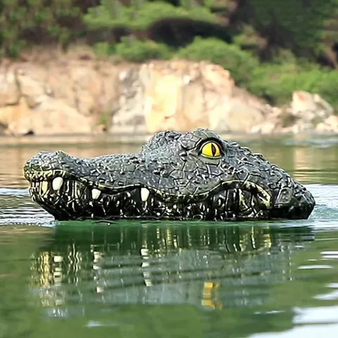 Remote Control Crocodile Head